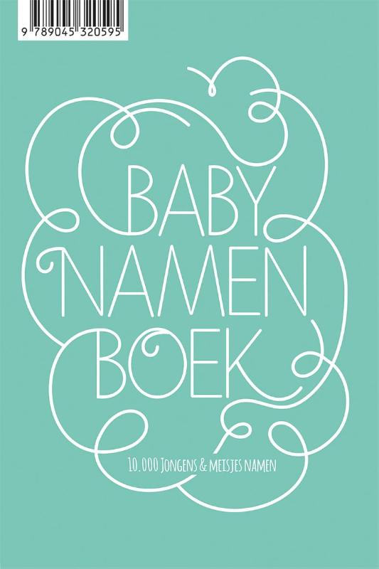 image for Babynamenboek