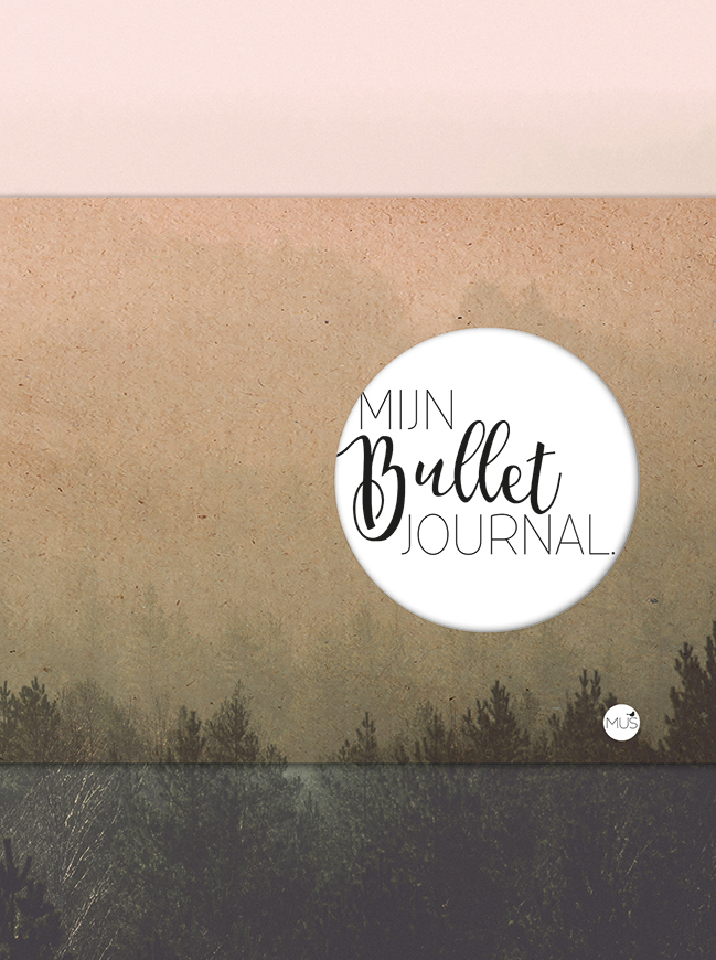 Mijn bullet journal