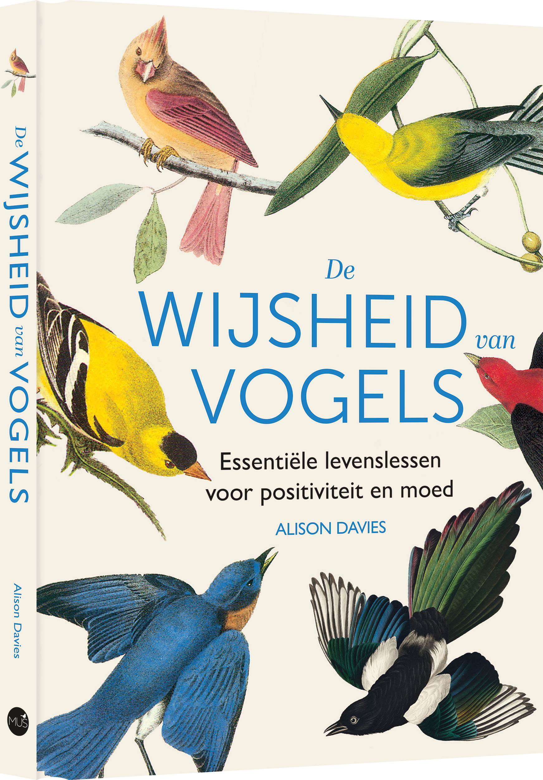 De wijsheid van vogels Essentiële levenslessen voor positiviteit en moed