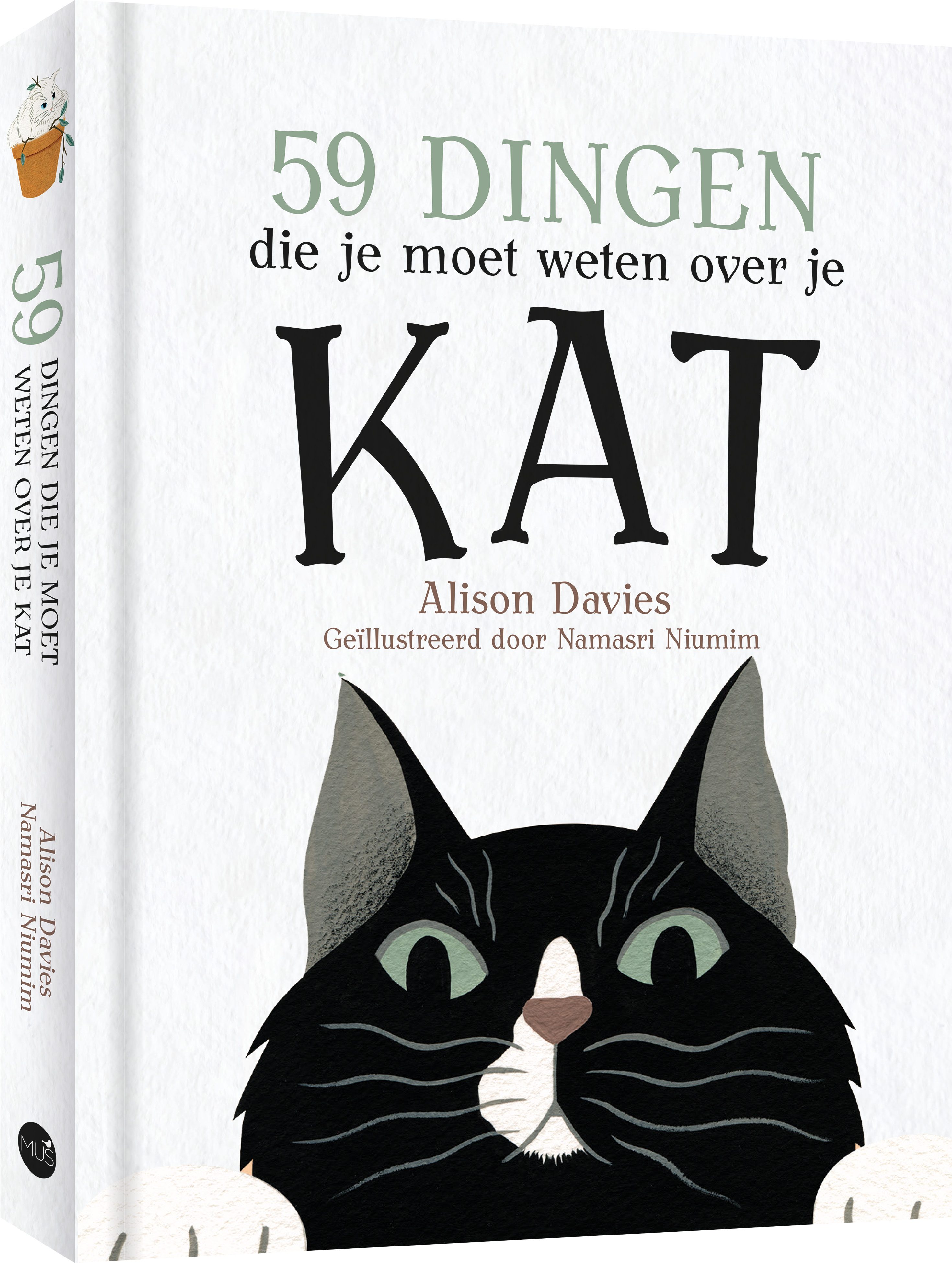 59 dingen die je moet weten over je kat 