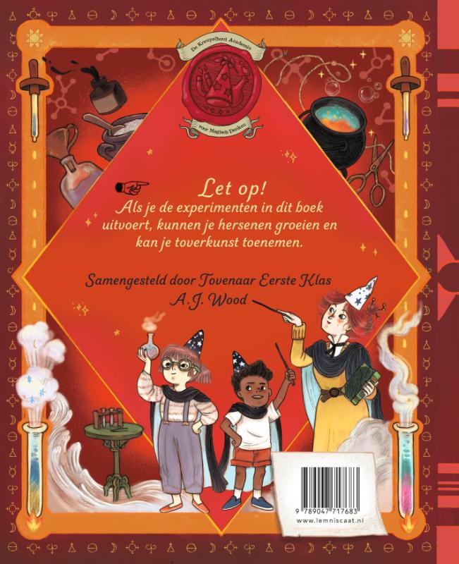 image for De tovenaarsgids voor magische experimenten