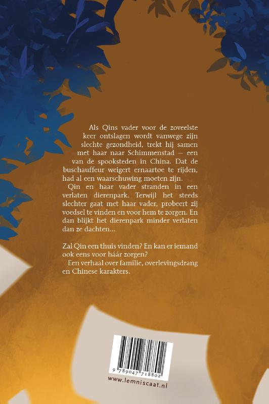 image for De schat van Schimmenstad