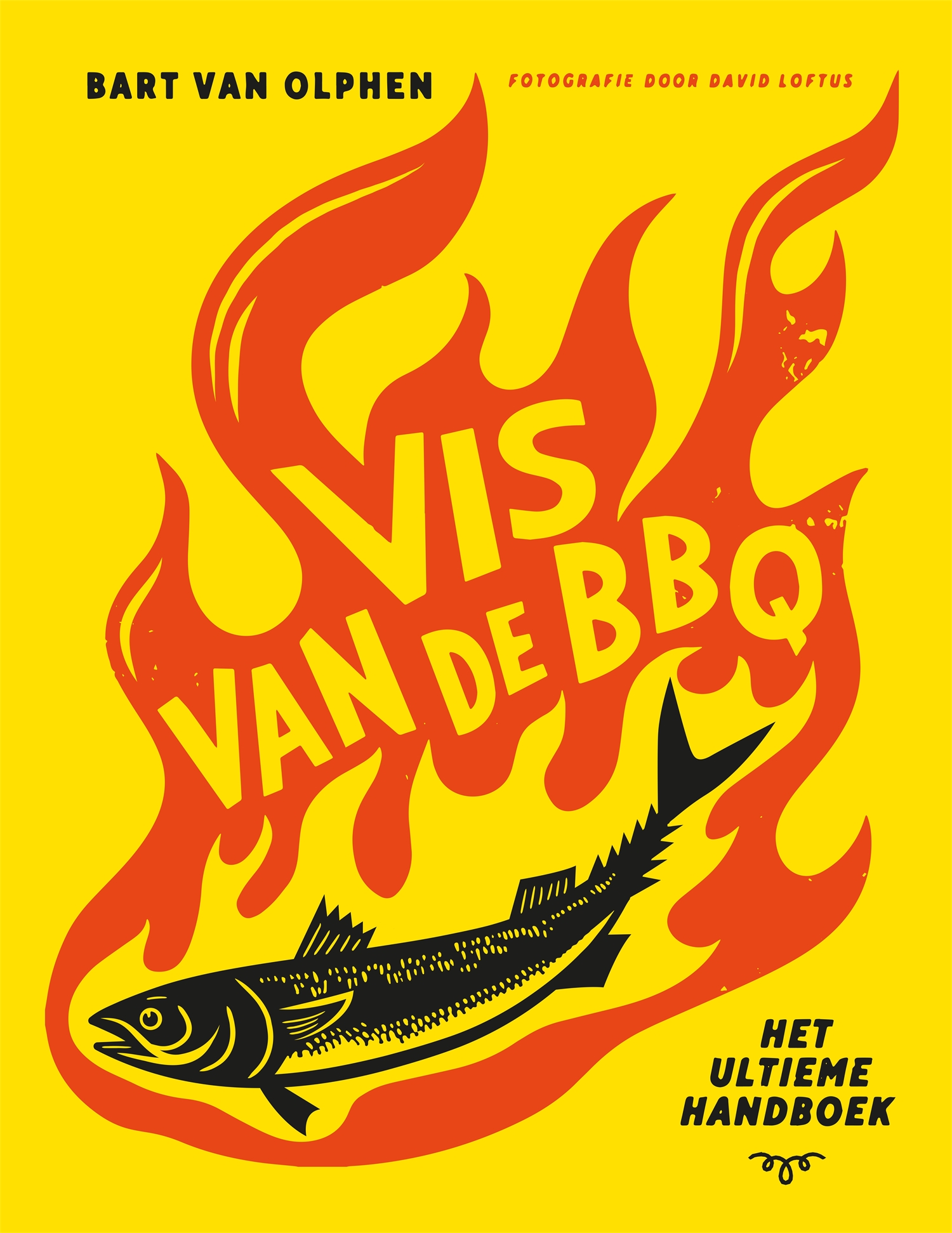 Vis van de BBQ Het ultieme handboek