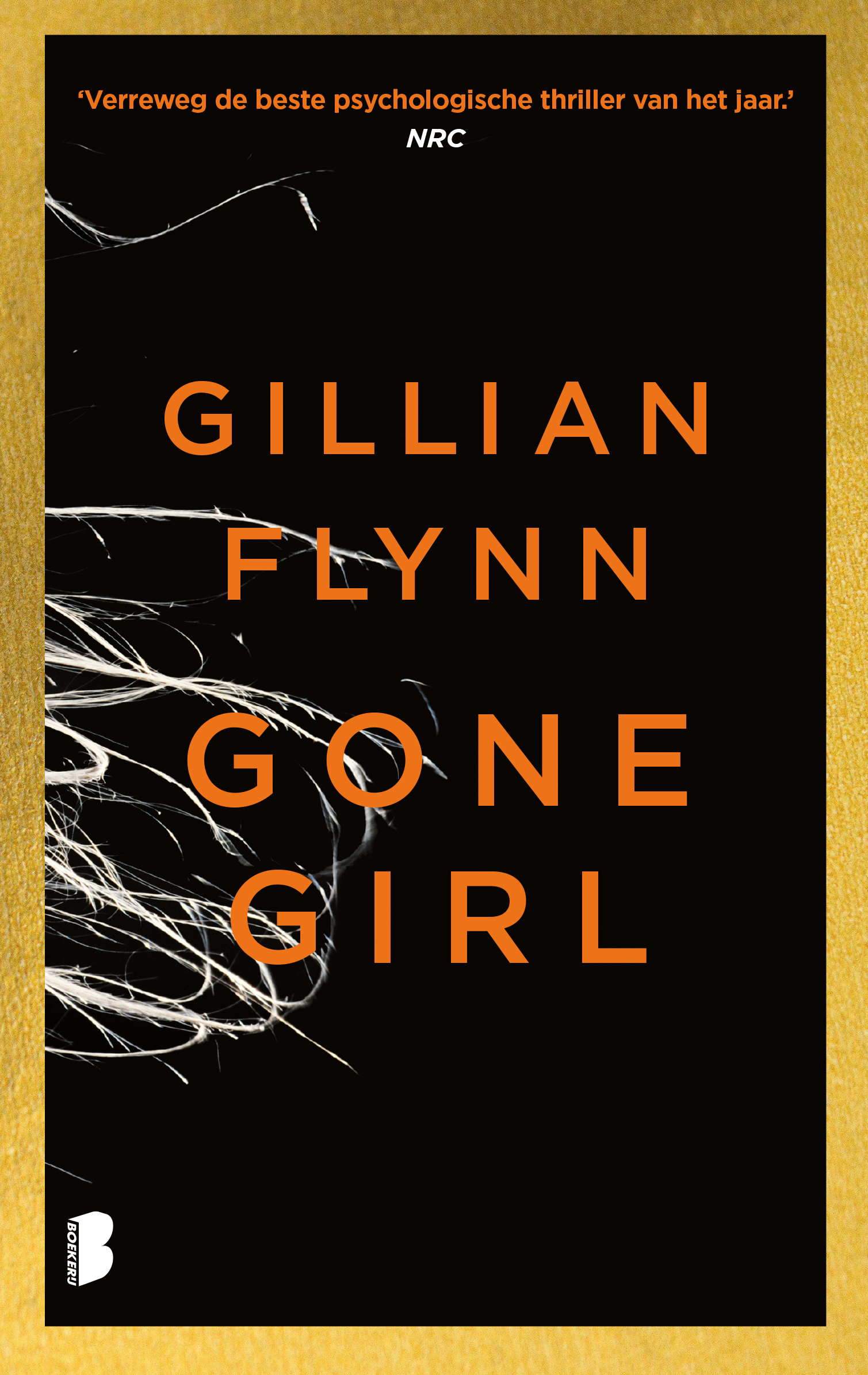 Gone Girl Heeft Nick zijn vrouw vermoord?
