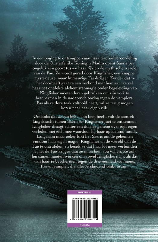 image for Quicksilver