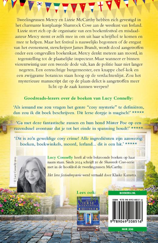 image for Het Ierse festivalmysterie