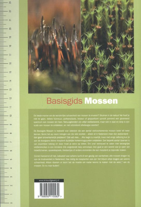 image for Basisgids mossen