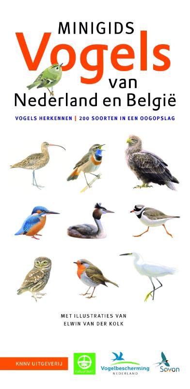 Vogels van Nederland en België