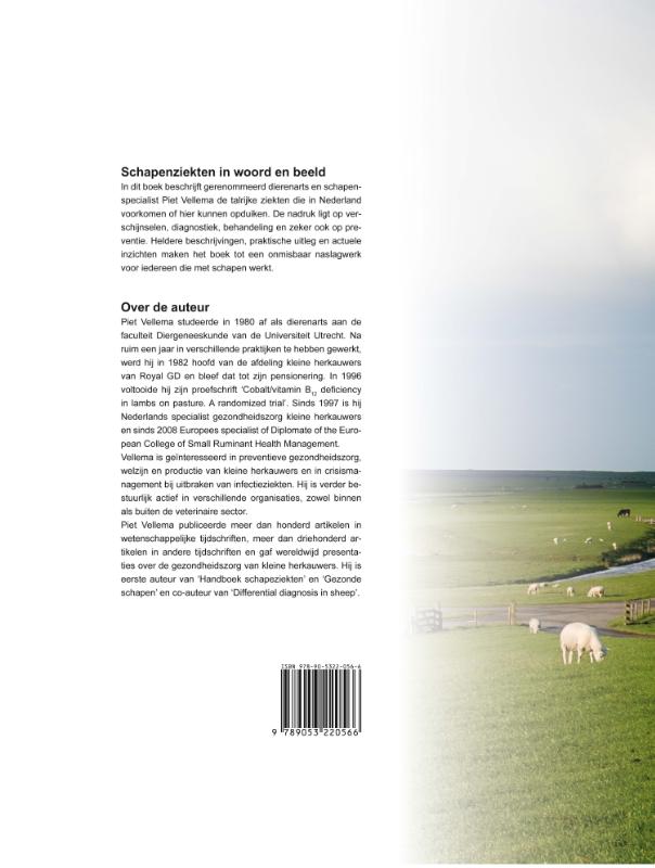 image for Schapenziekten in woord en beeld