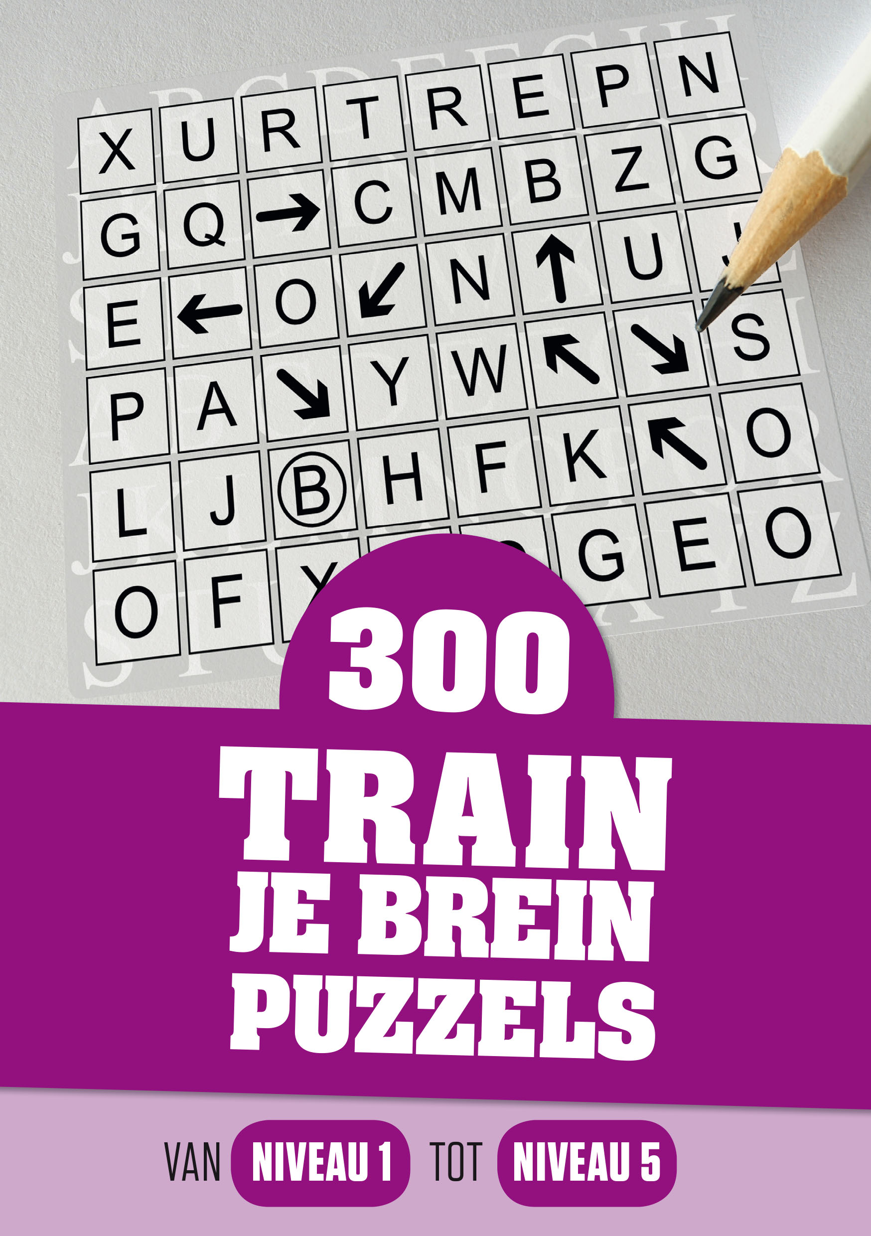 300 train je brein puzzels