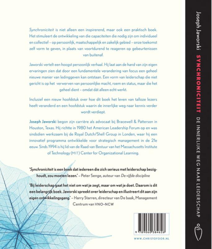 image for Synchroniciteit