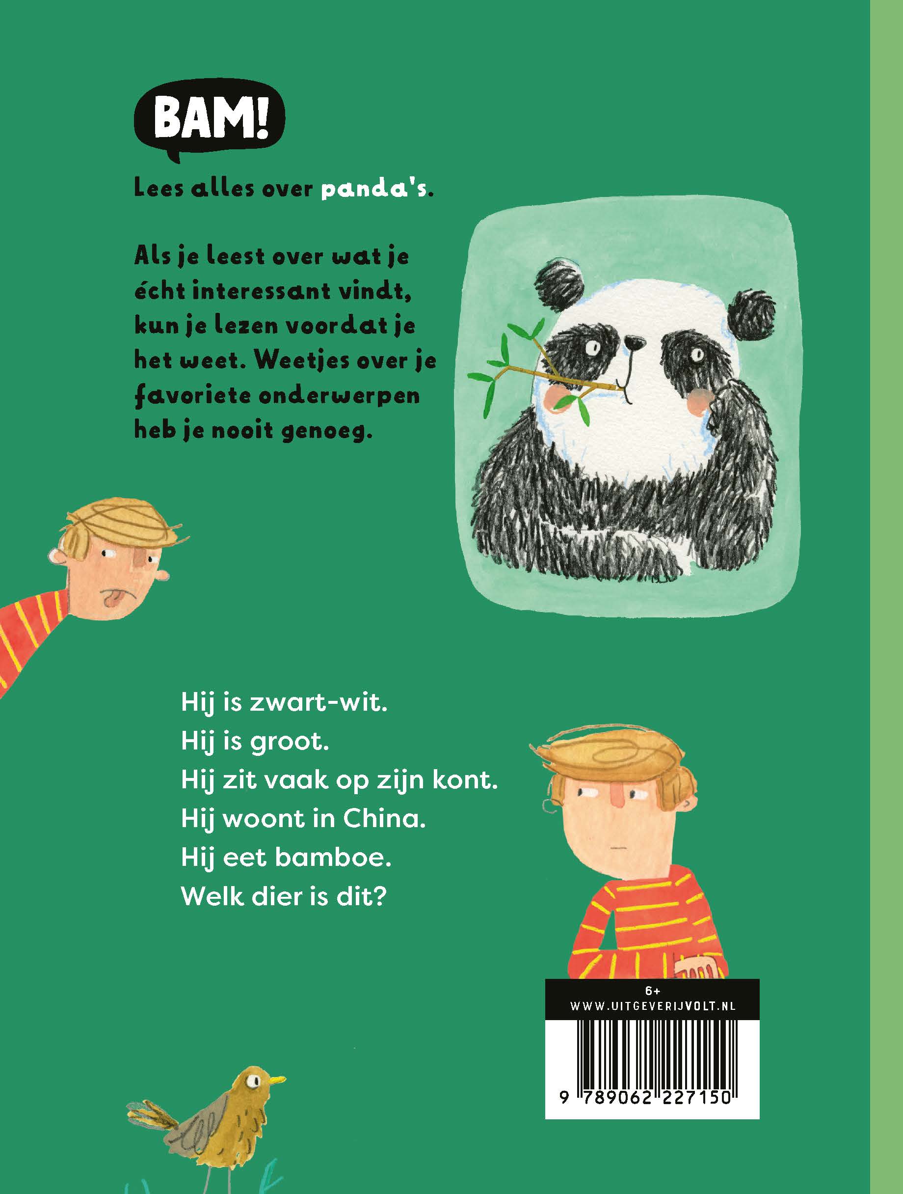BAM! Ik lees: Een boek over pandas (maar niet alleen) 