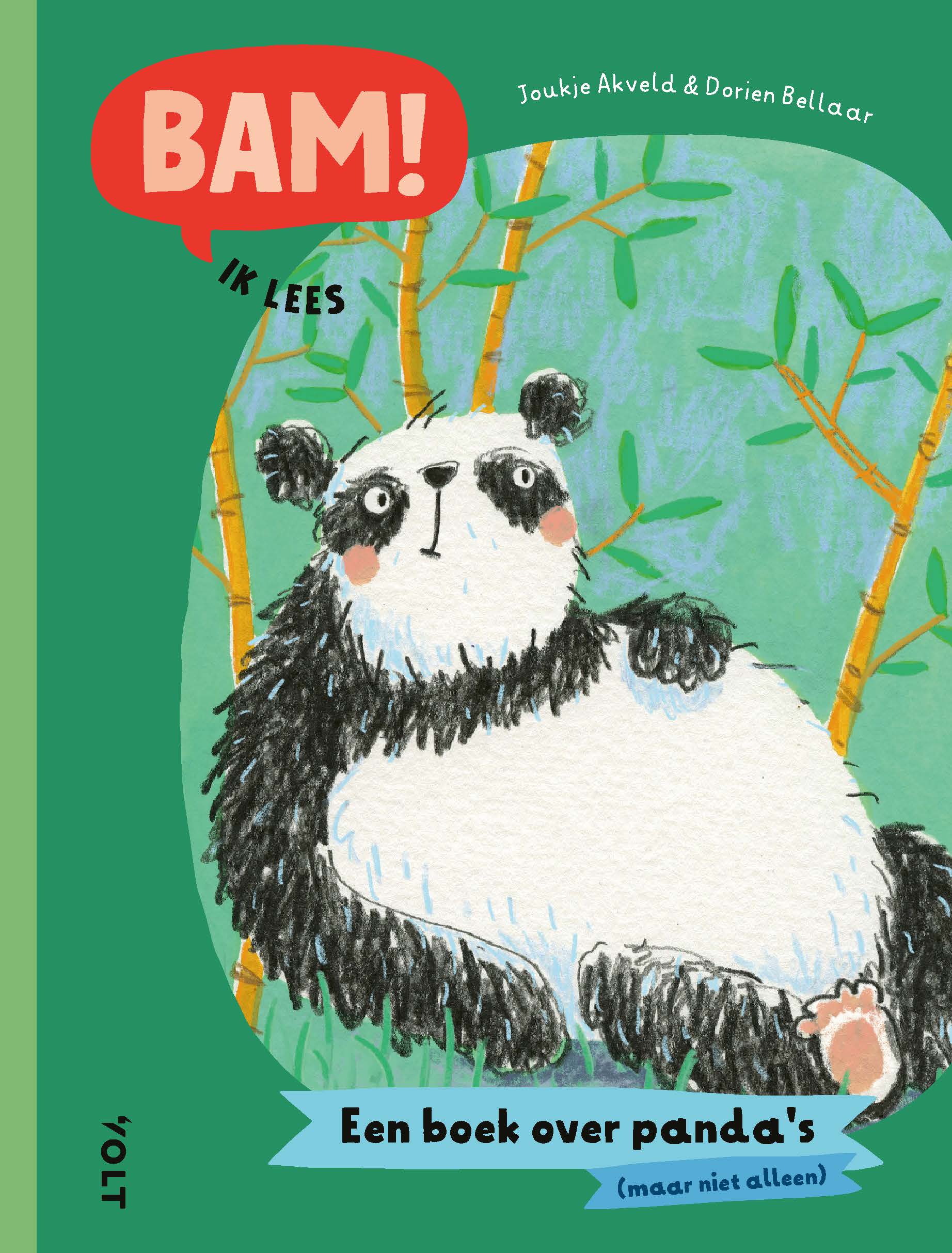 BAM! Ik lees: Een boek over pandas (maar niet alleen) 