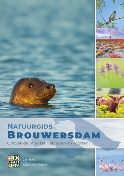 Natuurgids Brouwersdam