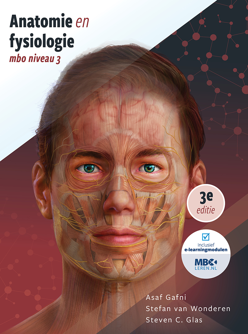 Anatomie en fysiologie mbo niveau 3
