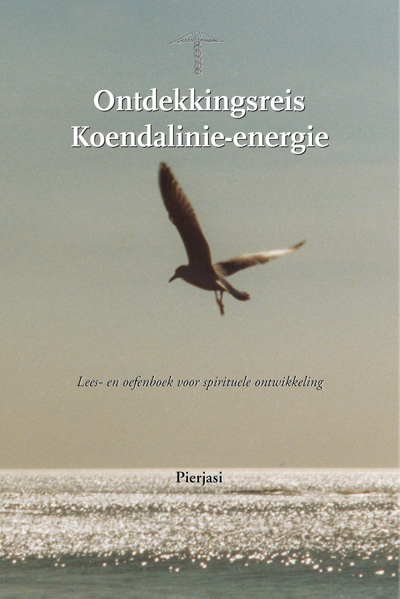 Ontdekkingsreis Koendalinie-energie