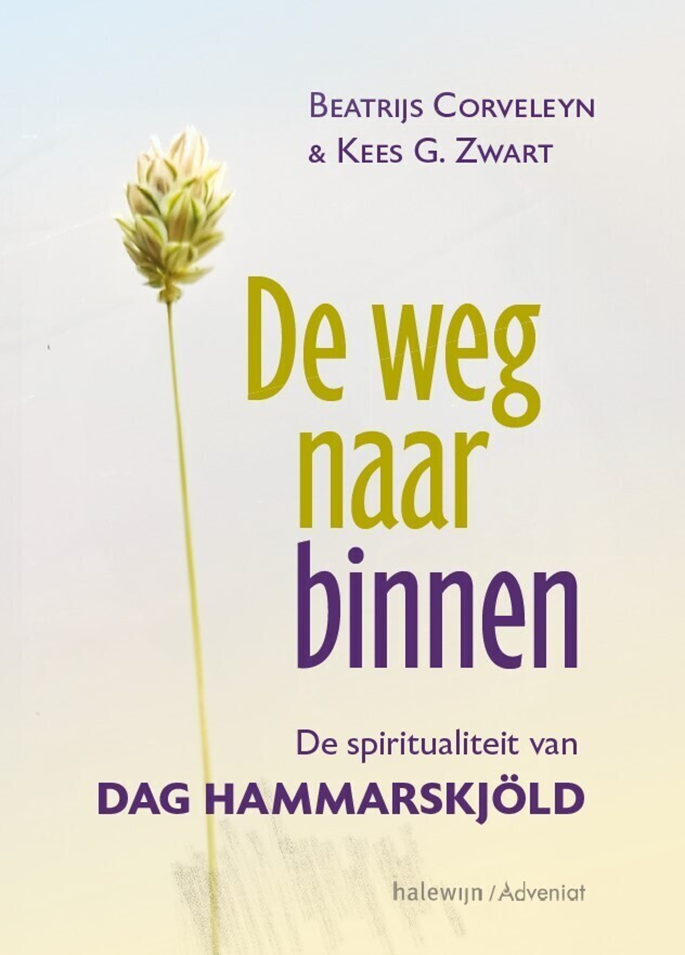 De weg naar binnen De spiritualiteit van Dag Hammarskjöld