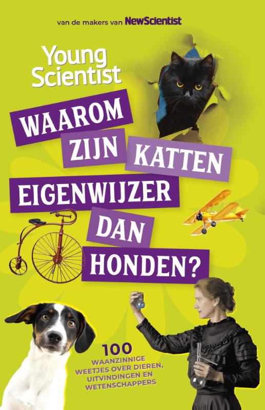 Waarom zijn katten eigenwijzer dan honden?