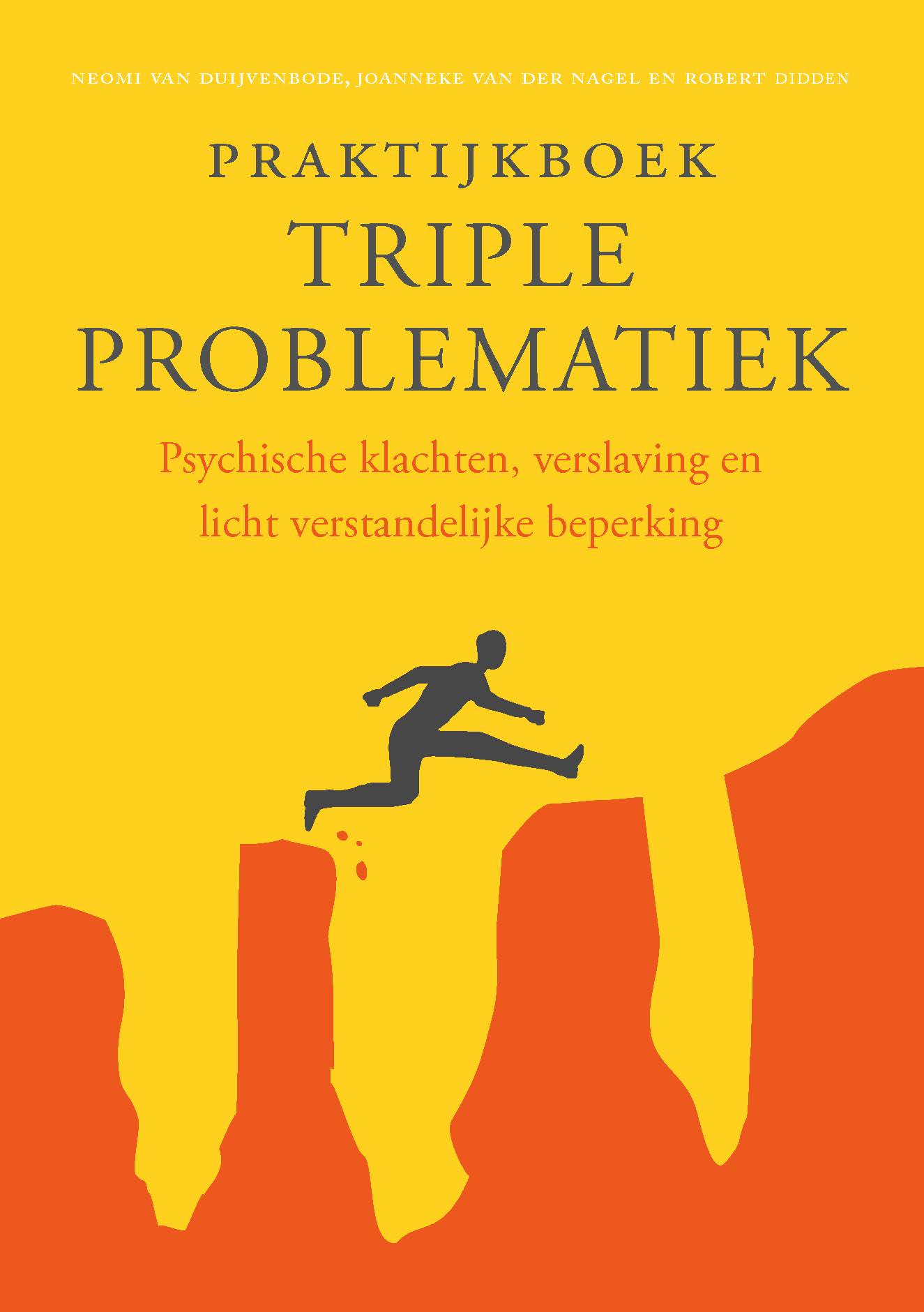 Praktijkboek triple problematiek