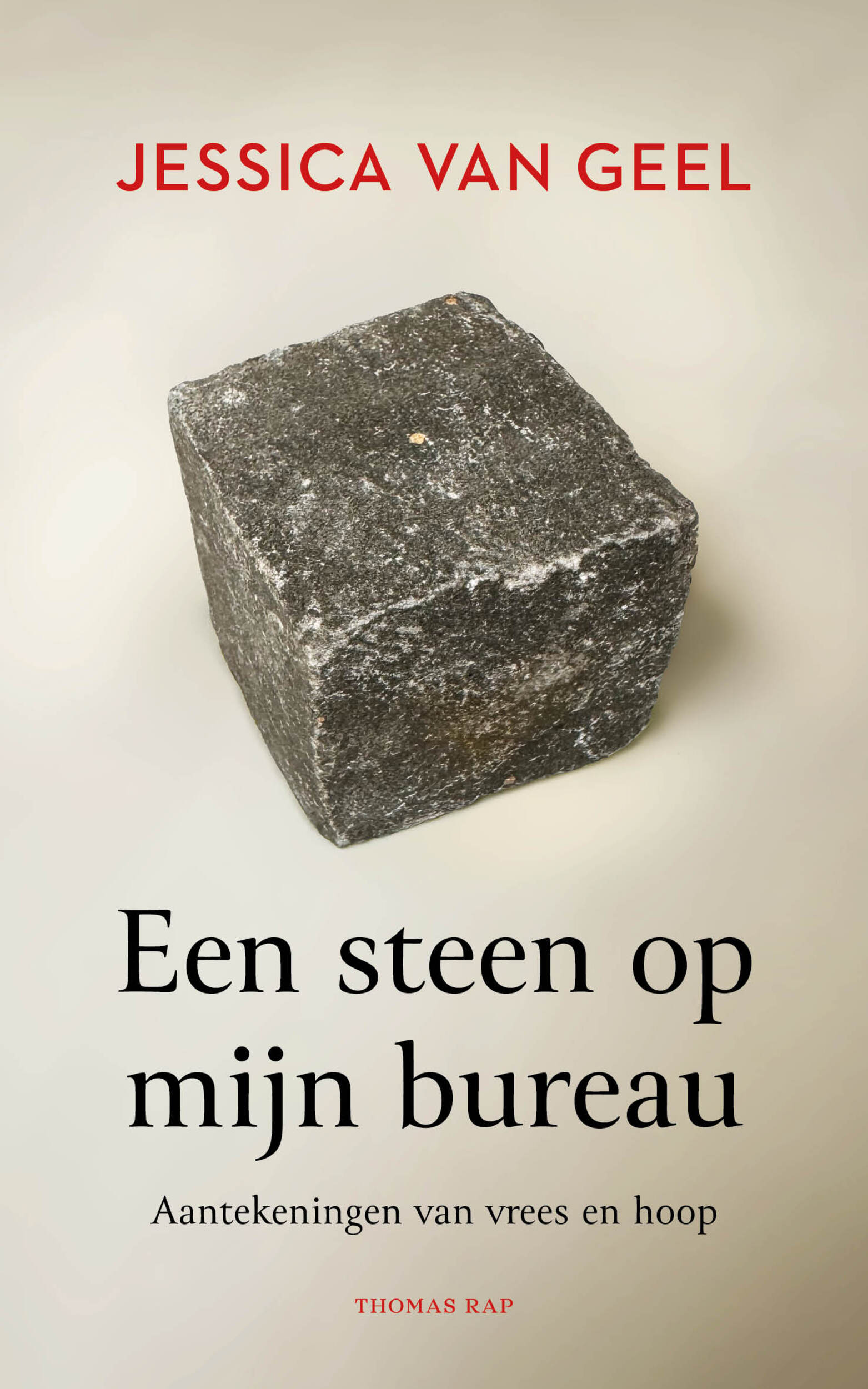 Een steen op mijn bureau 