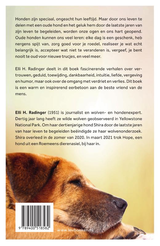 image for Oude wijze honden