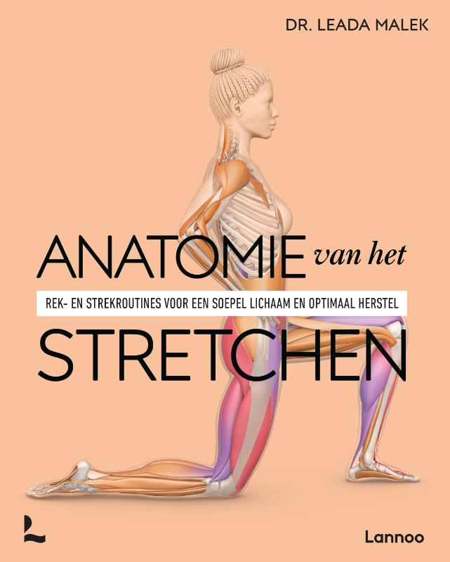 Anatomie van het stretchen