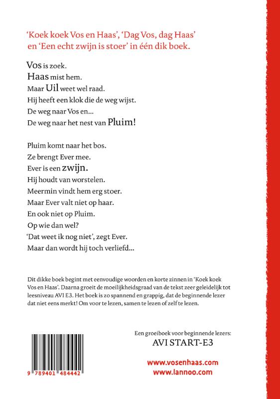 image for Het tweede dikke boek