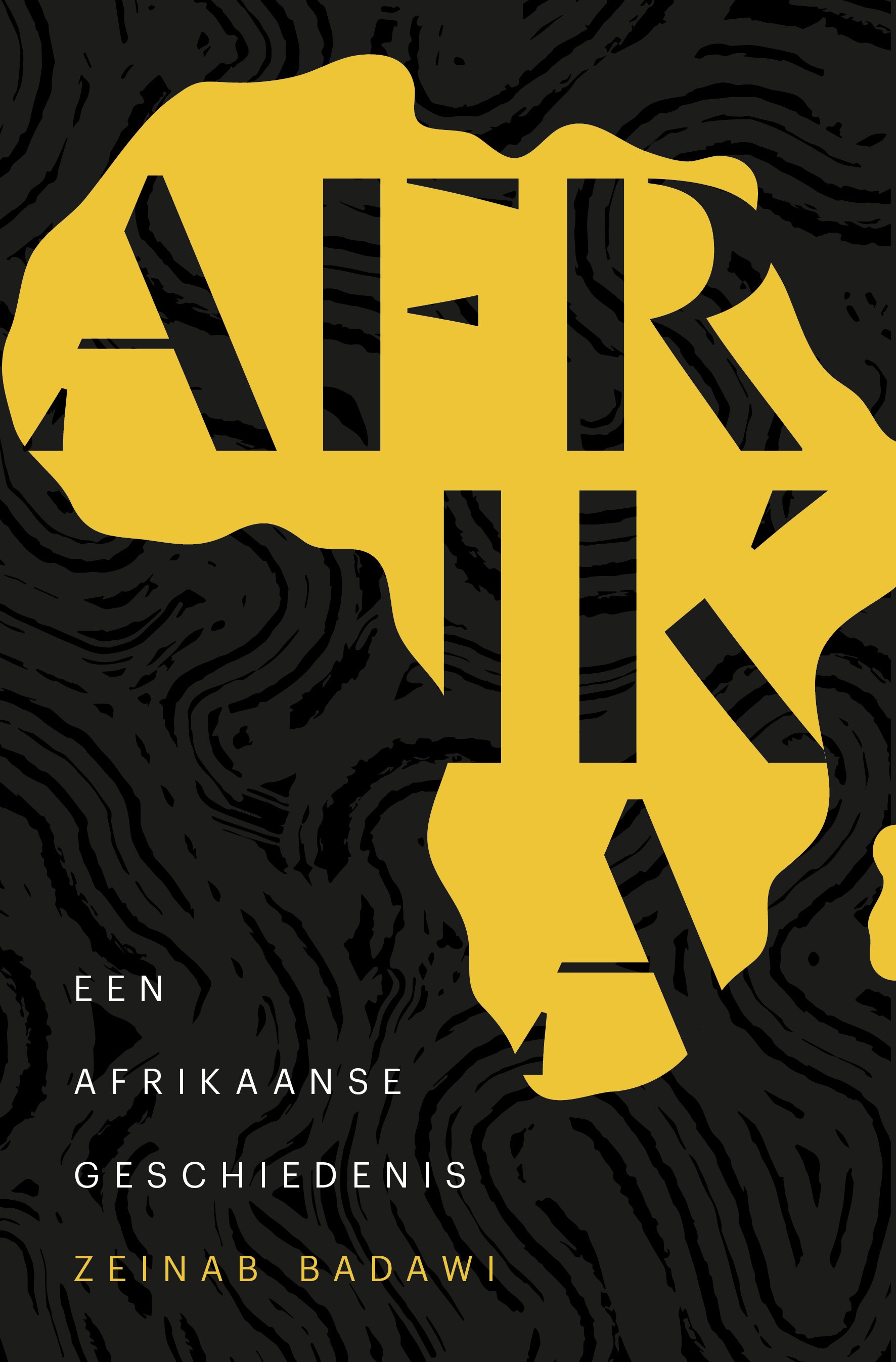 Afrika Een Afrikaanse geschiedenis