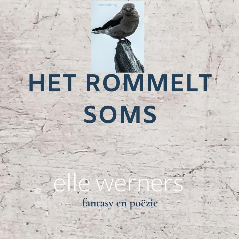 HET ROMMELT SOMS