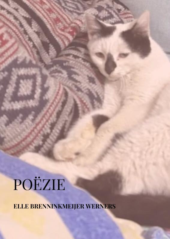 POËZIE