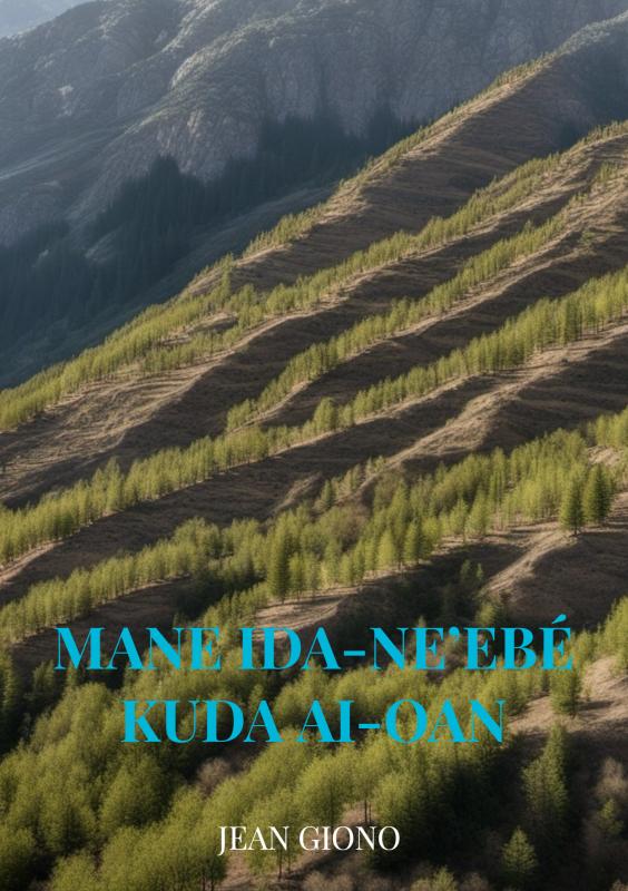 Mane ida-neebé kuda ai-oan 