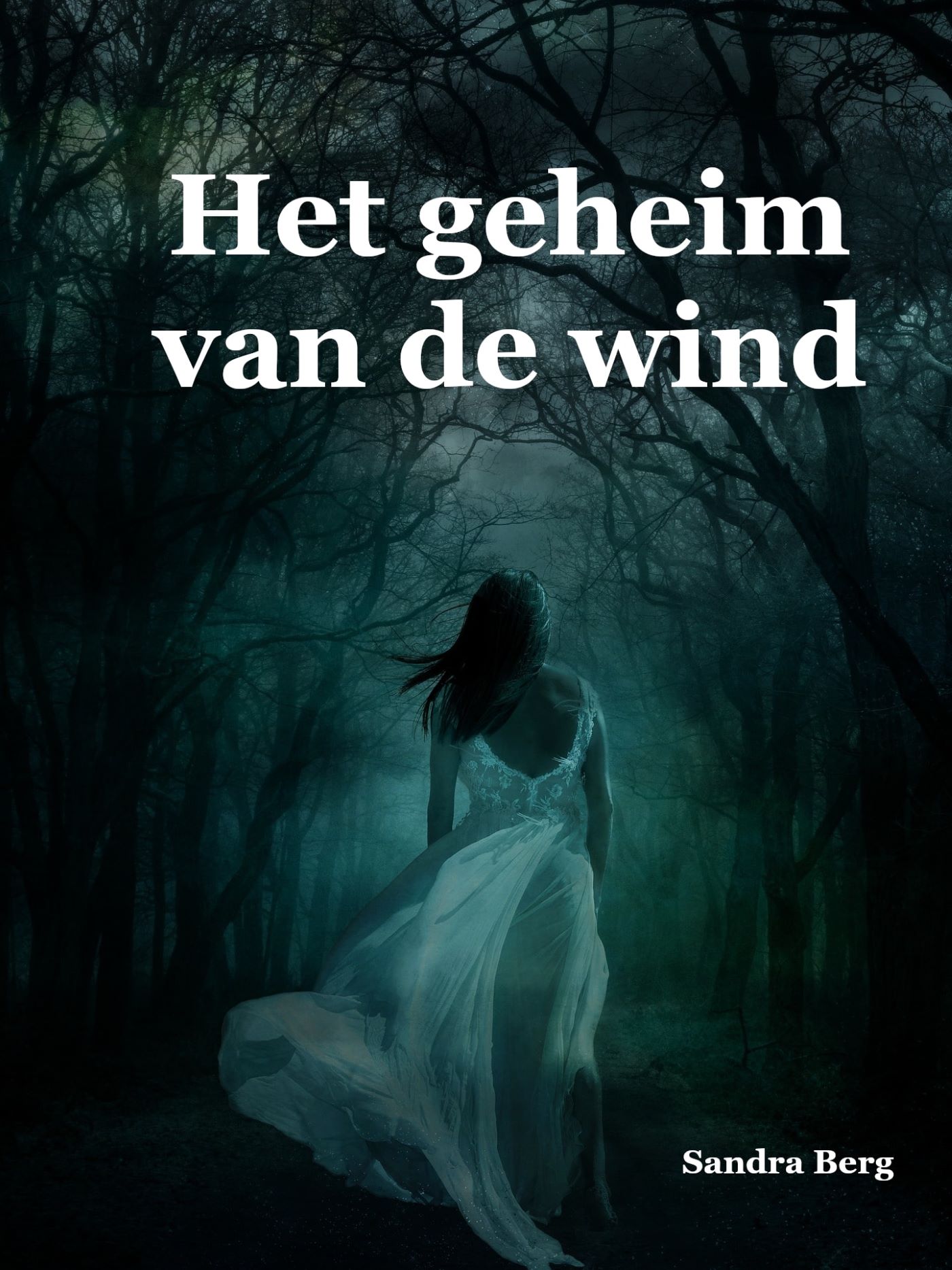 Het geheim van de wind