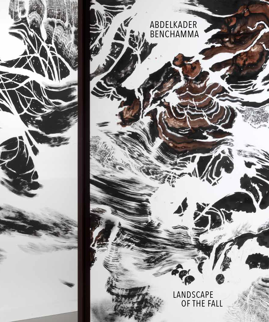 Abdelkader Benchama Landscape of the fall