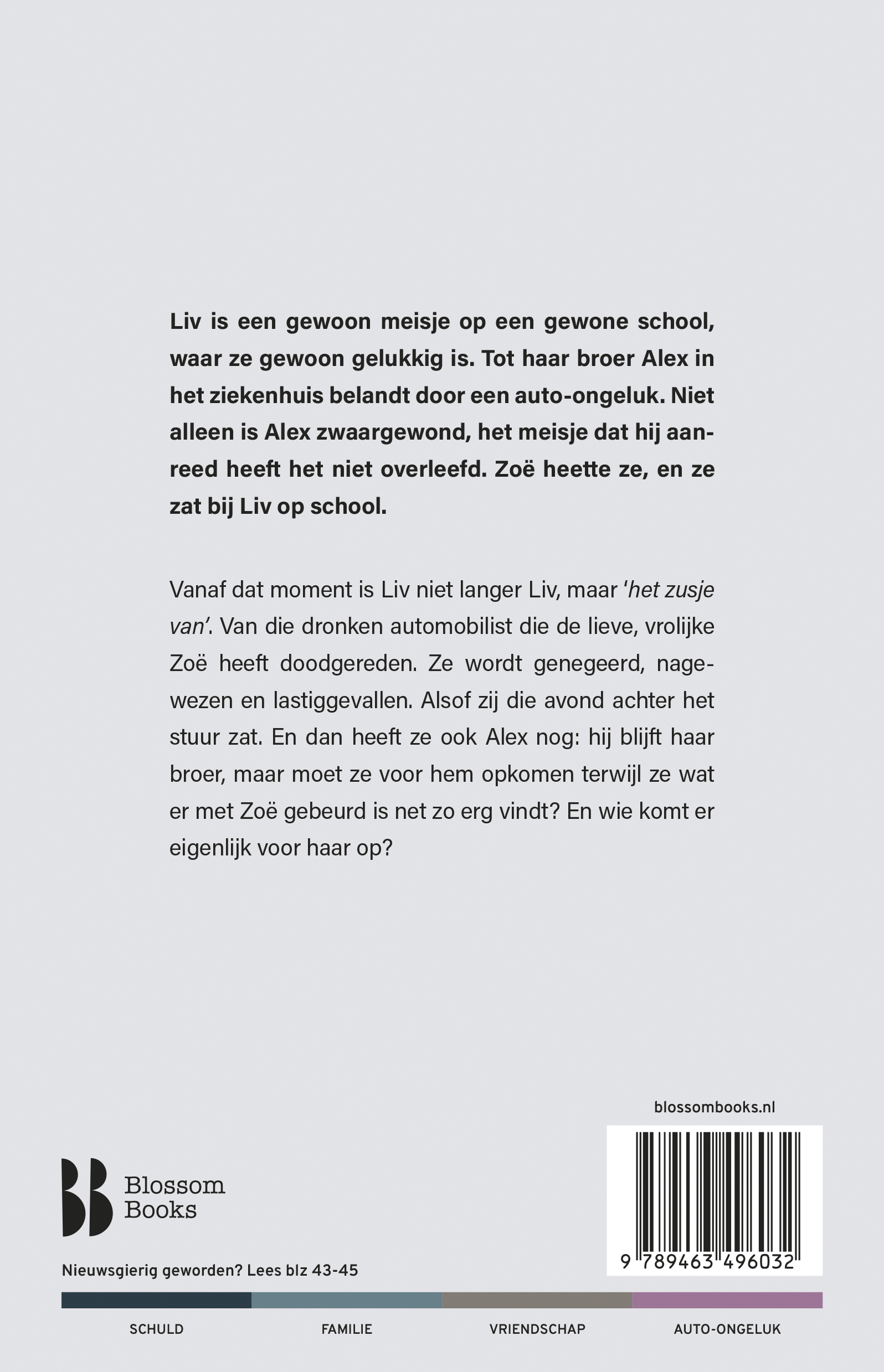 Het zusje van Wat als je broer iemand doodrijdt?