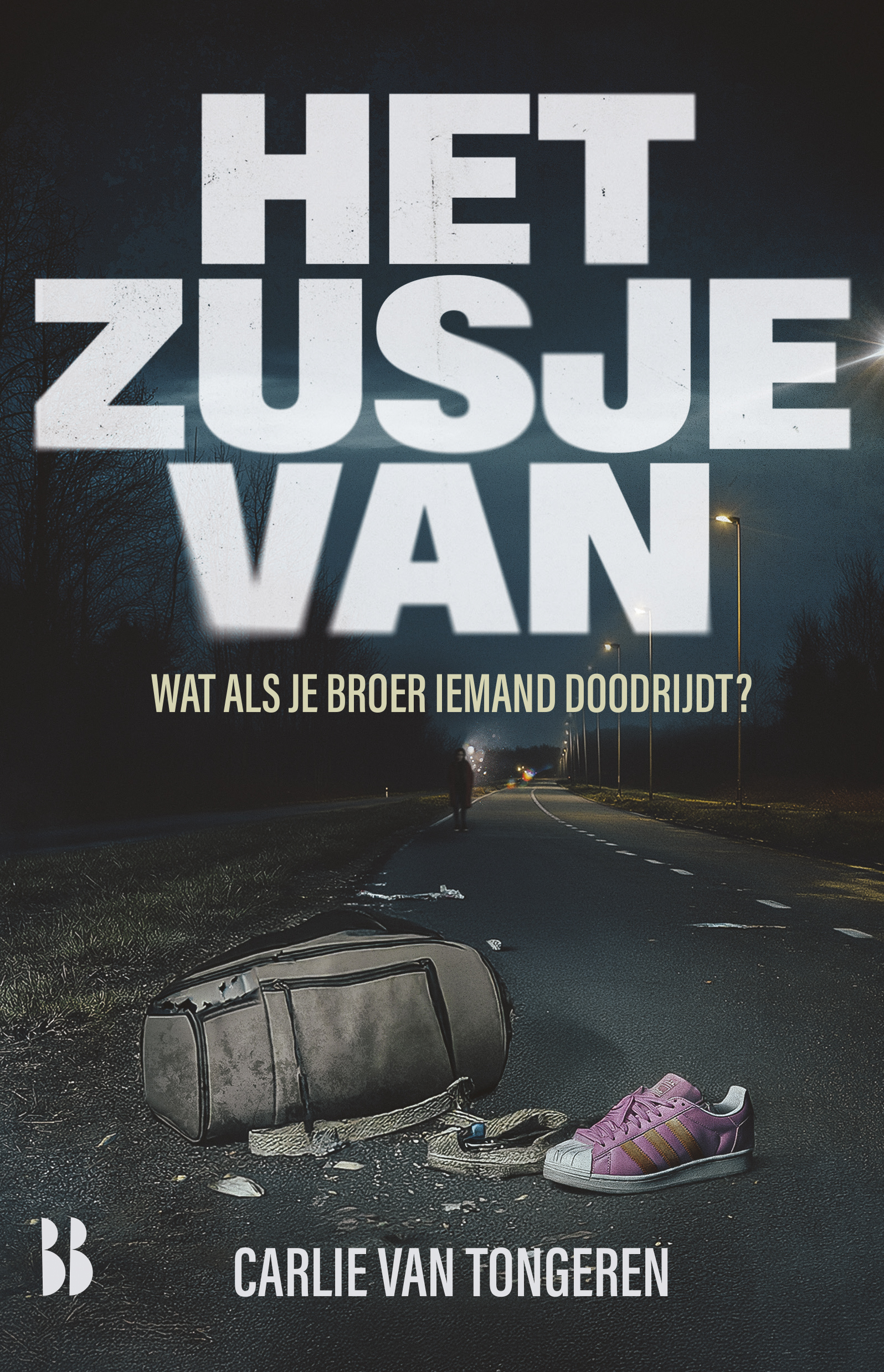 Het zusje van Wat als je broer iemand doodrijdt?