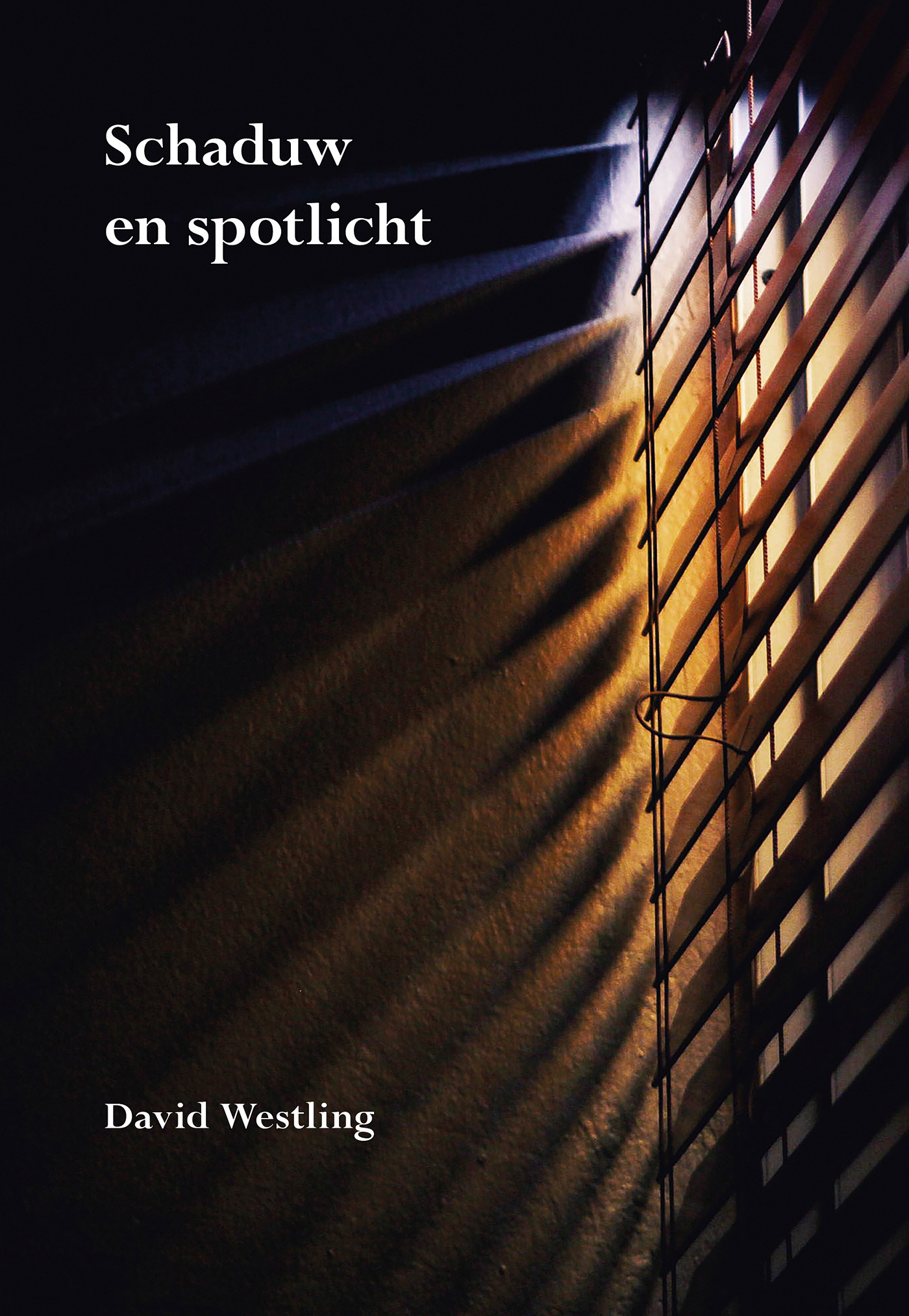 Schaduw en spotlicht 