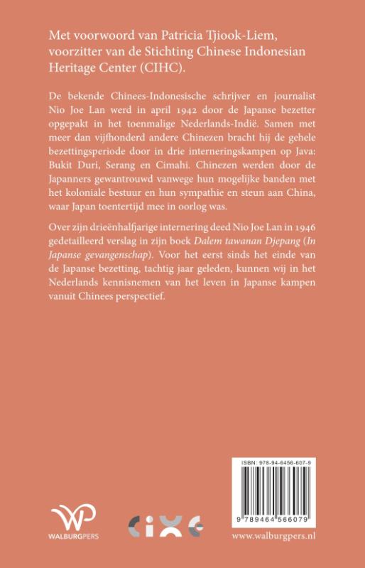 image for In Japanse gevangenschap