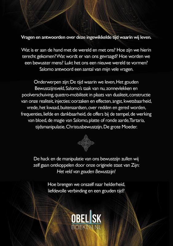 image for Het Gouden bewustzijnsveld