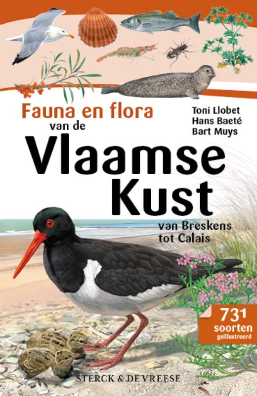 Fauna en Flora van de Vlaamse kust