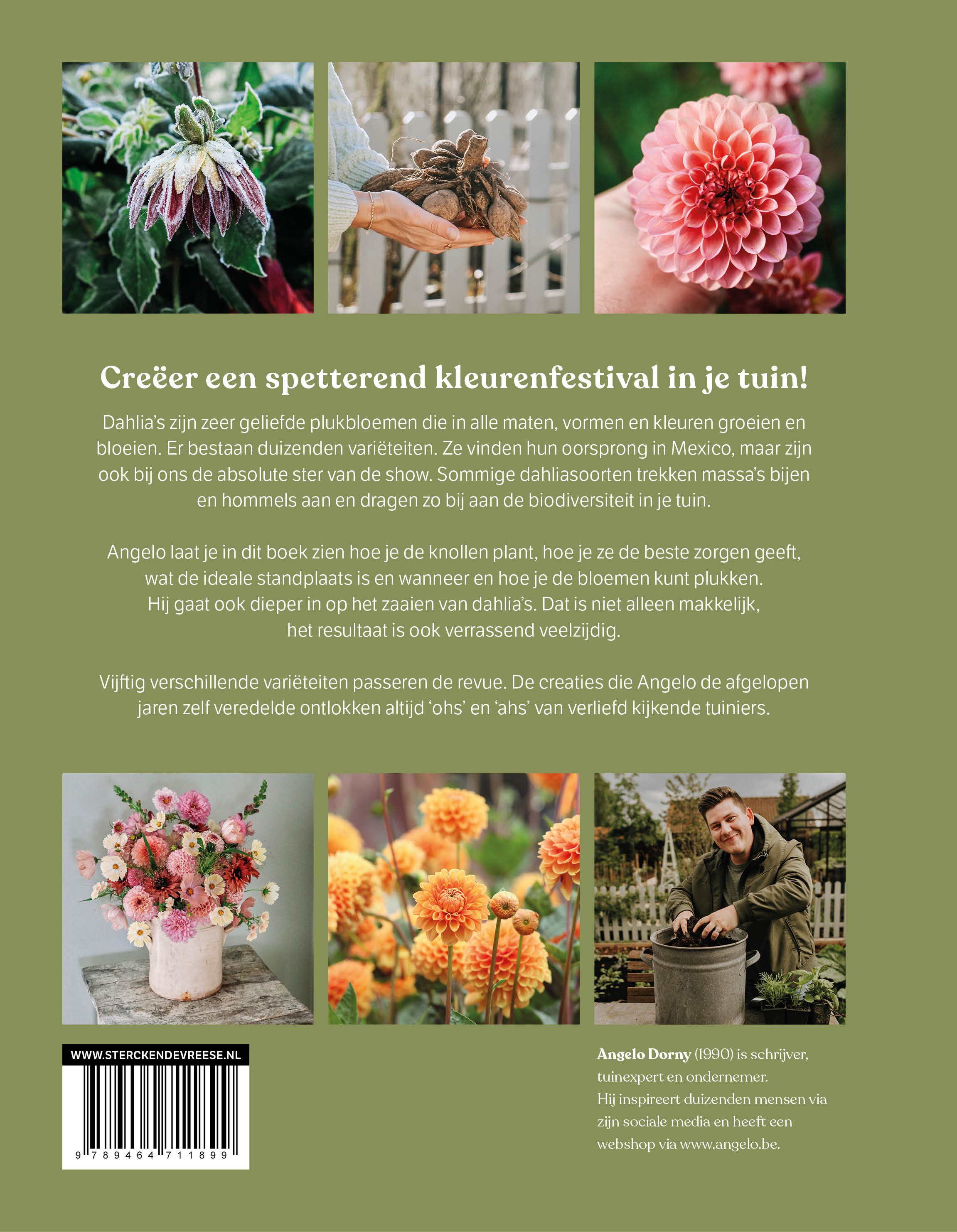 Dahlia Ode aan de koningin van de pluktuin