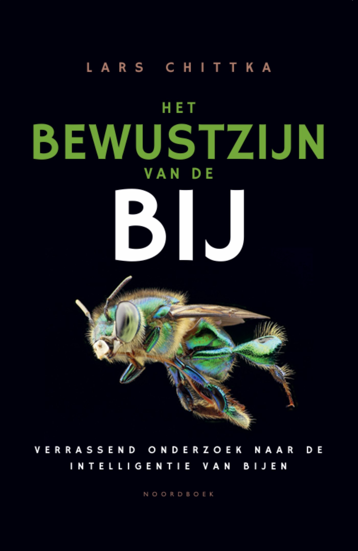 Het bewustzijn van de bij 