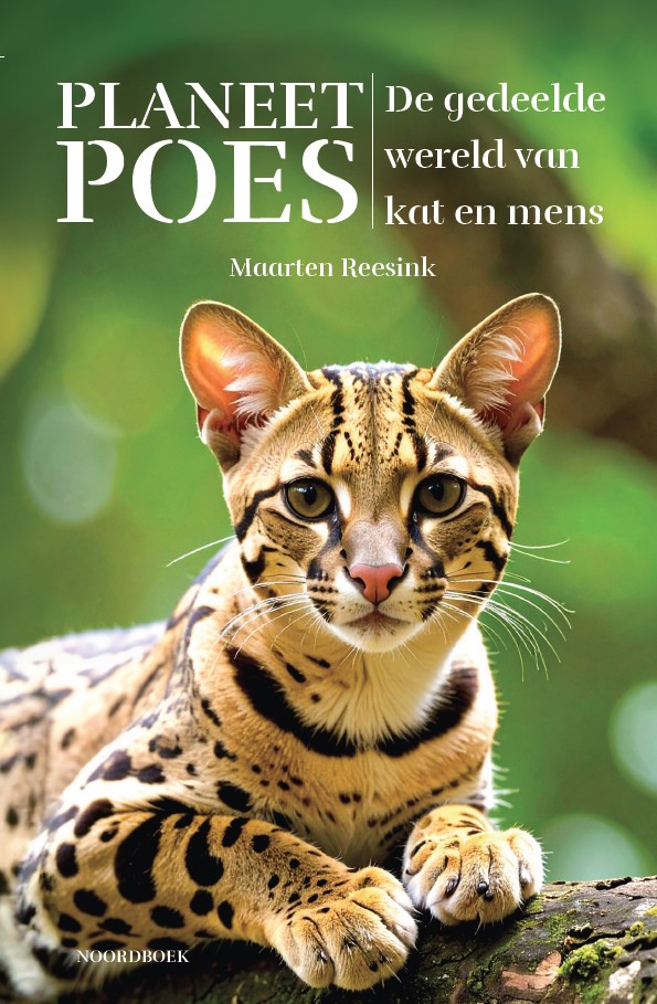 Planeet Poes De gedeelde wereld van kat en mens