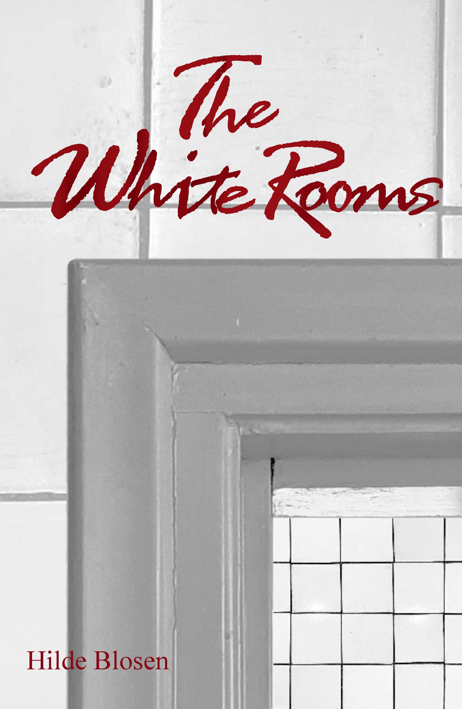 The White Rooms A dark mystery in the Dutch city of Utrecht in 1893