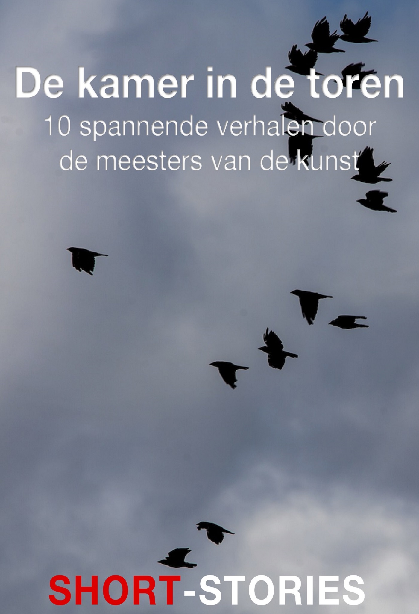 De kamer in de toren 