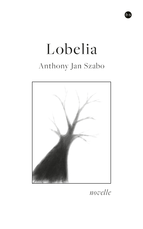 Lobelia 