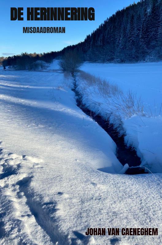 De herinnering misdaadroman