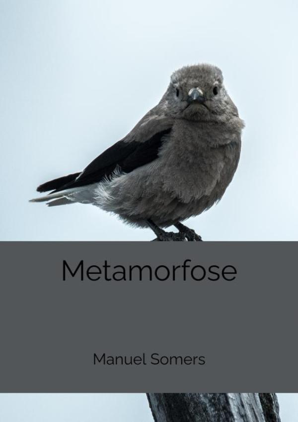 Metamorfose