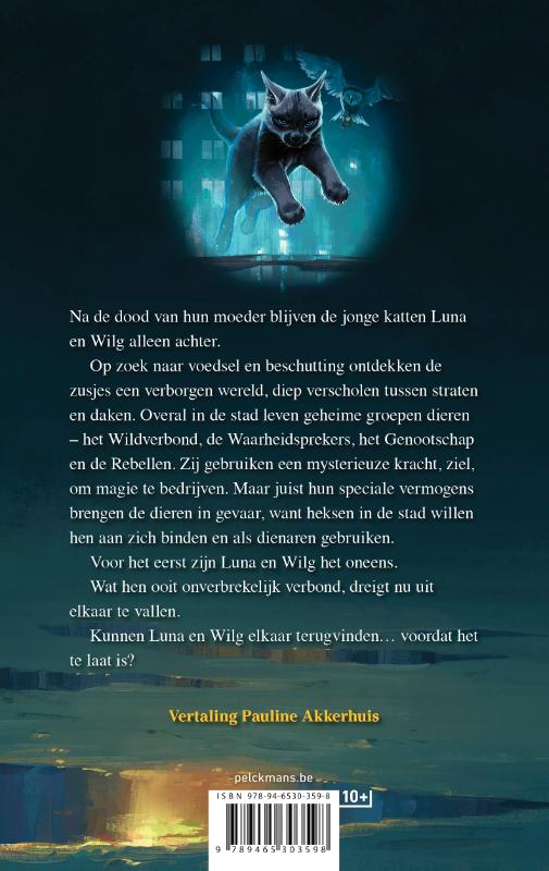 image for De magie ontwaakt
