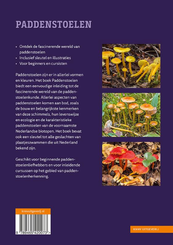 image for Paddenstoelen