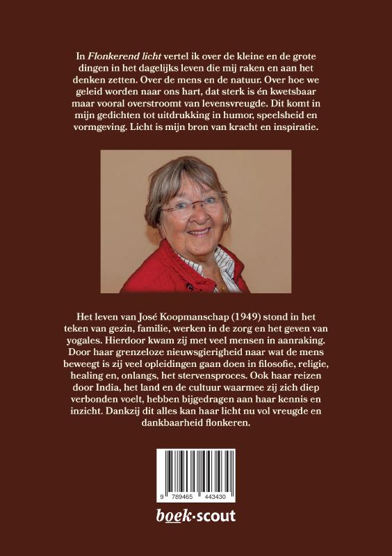 image for Flonkerend licht